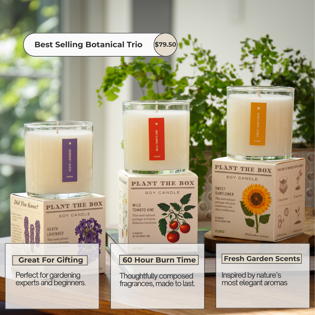 Bestselling Botanicals Plant the Box Candle Trio