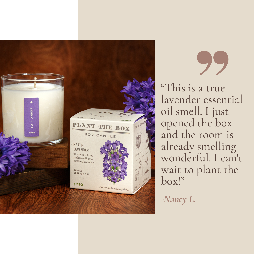 Bestselling Botanicals Plant the Box Candle Trio