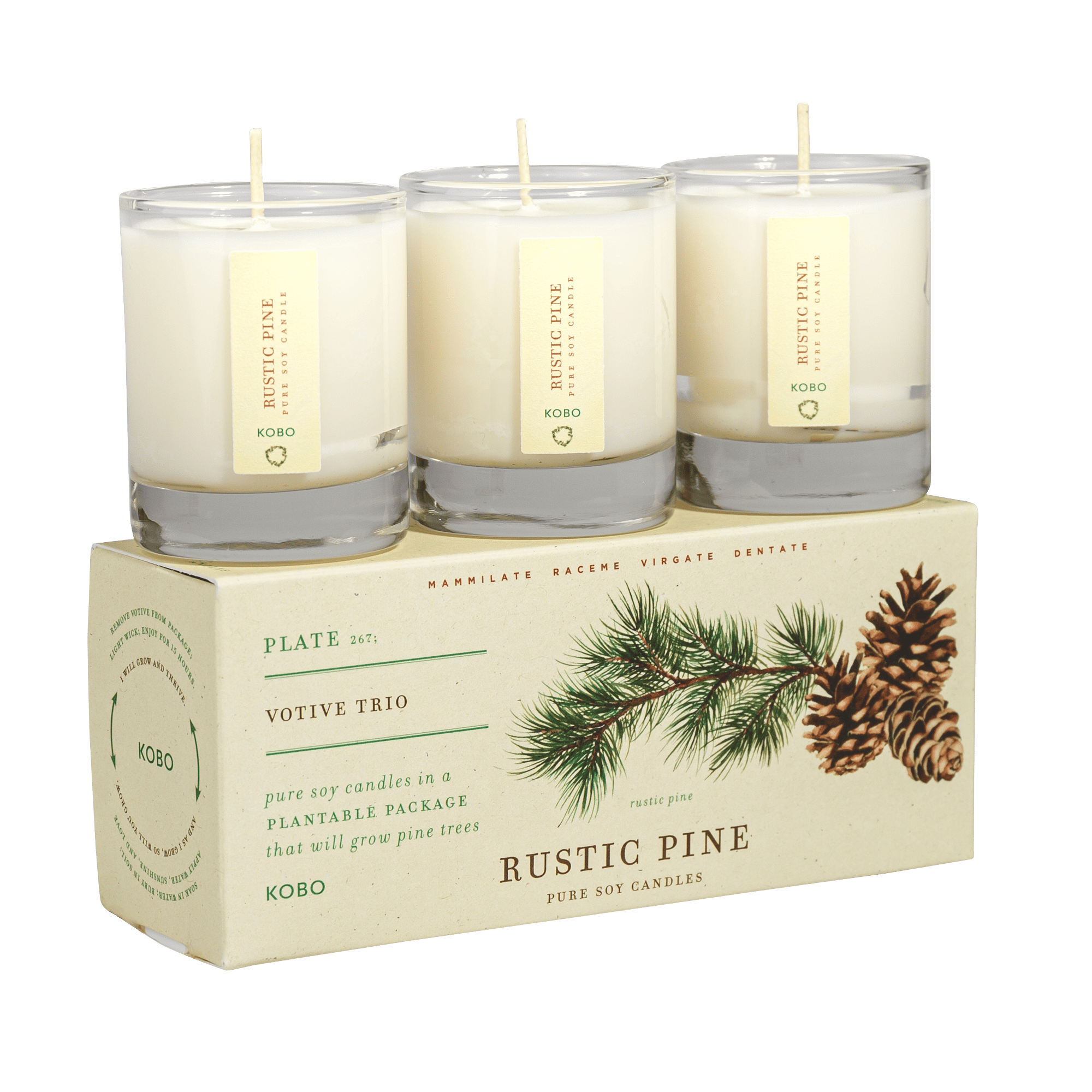 Rustic Pine Plant the Box Votive Candle Trio – KOBO