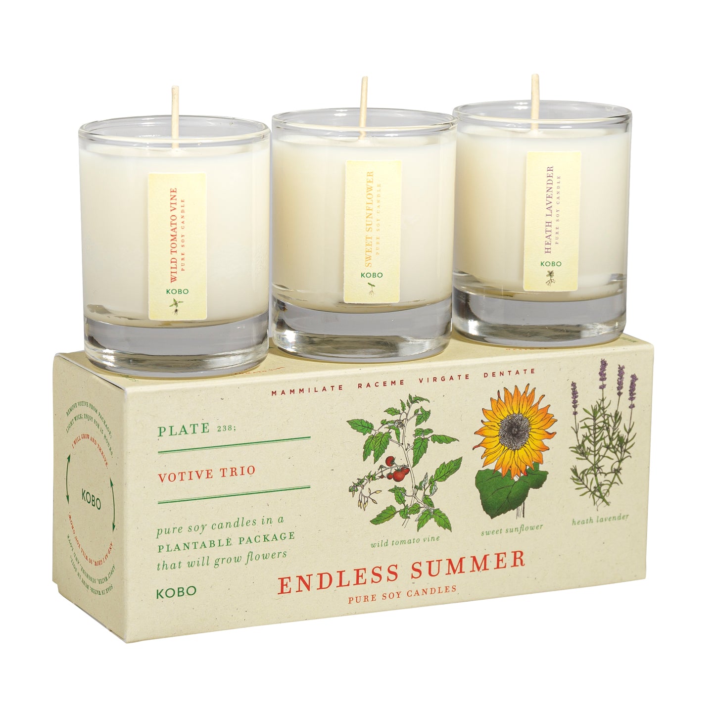 Endless Summer Plant the Box Votive Trio 3 x 2.3oz Candles