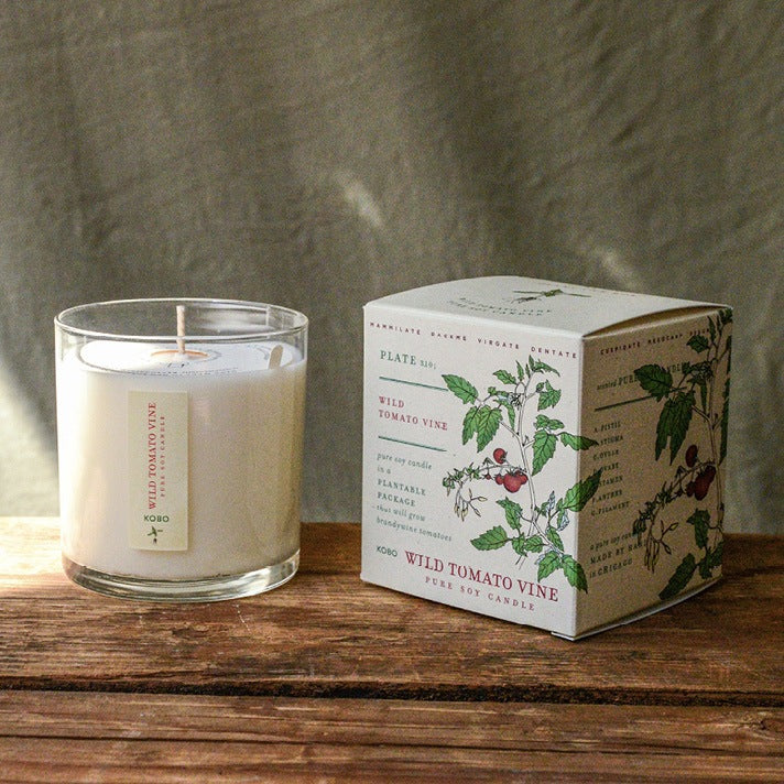 KOBO Wild Tomato Vine Plant The Box Candle