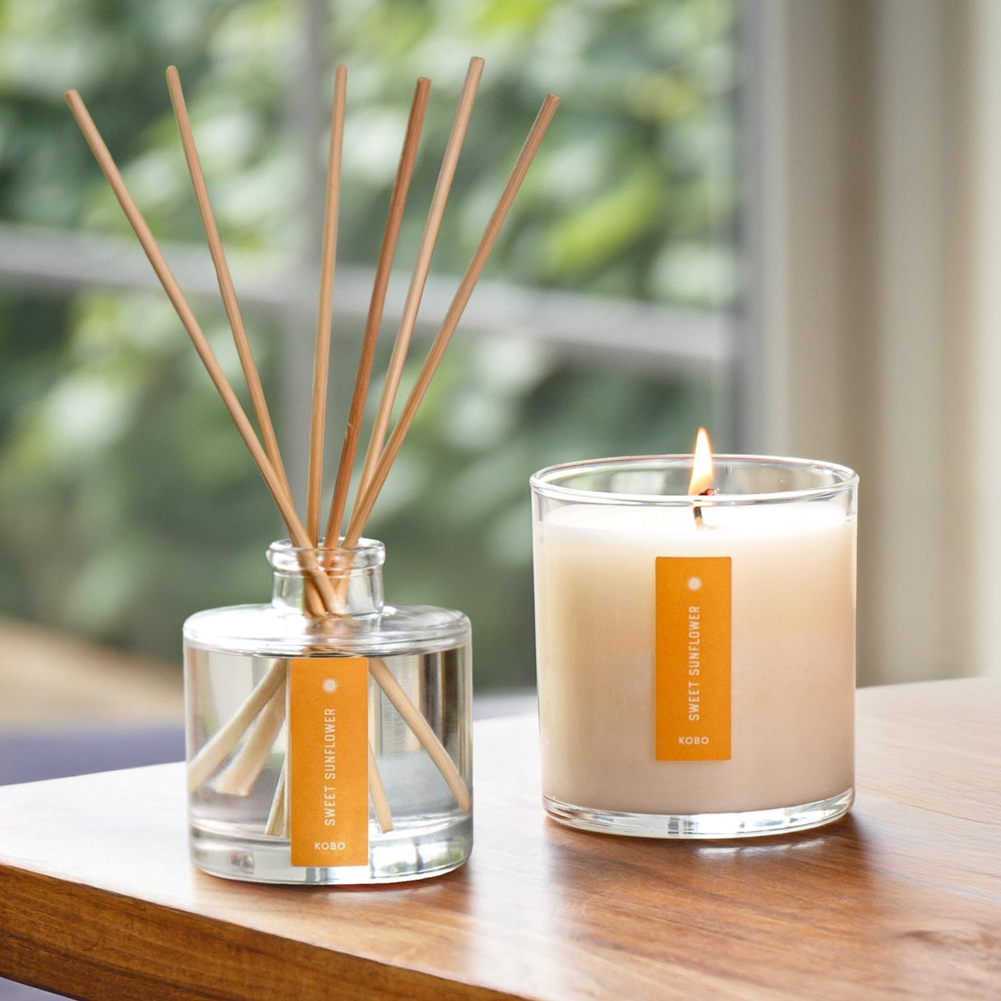 Alternate Image of Sweet Sunflower Plant the Box Duo, diffuser and candle with yellow label