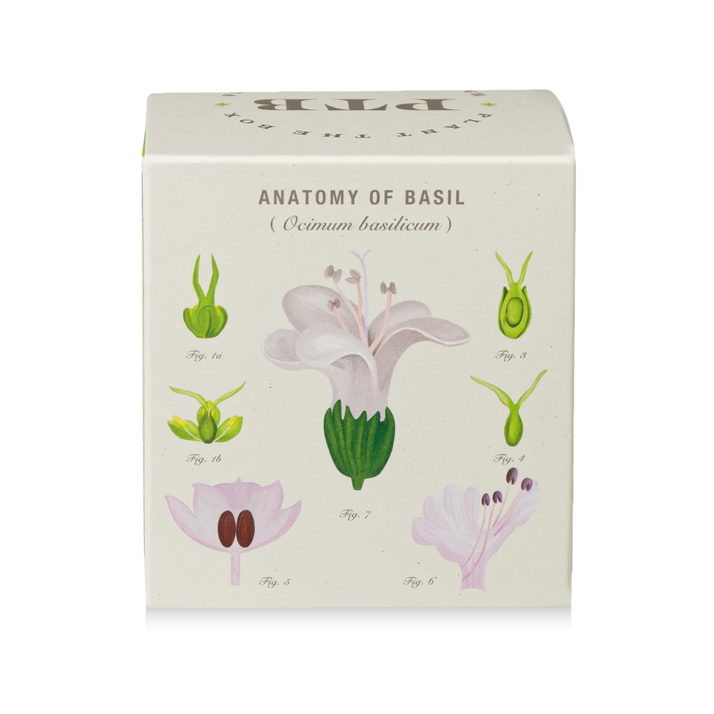 Alternate Image of Fresh Picked Basil Candle