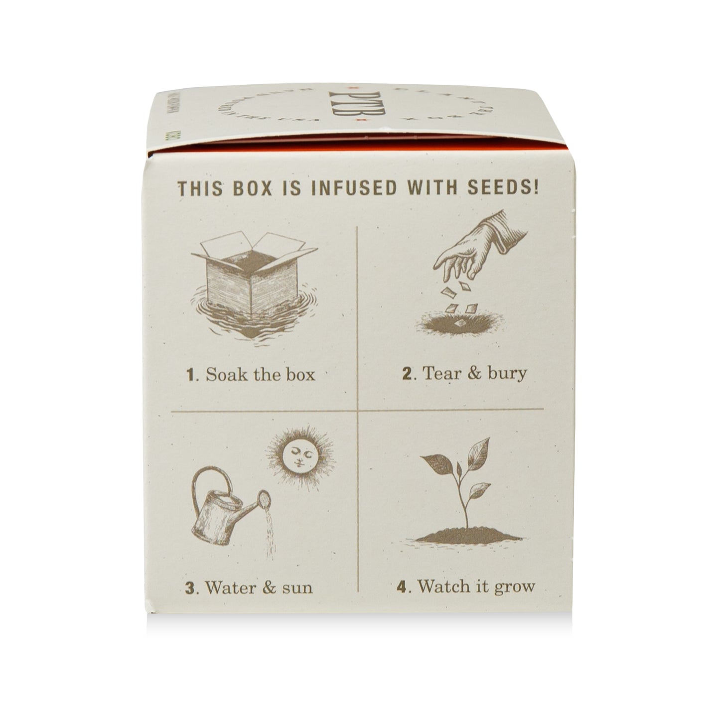Alternate Image of Half Moon Pumpkin Plant The Box Candle