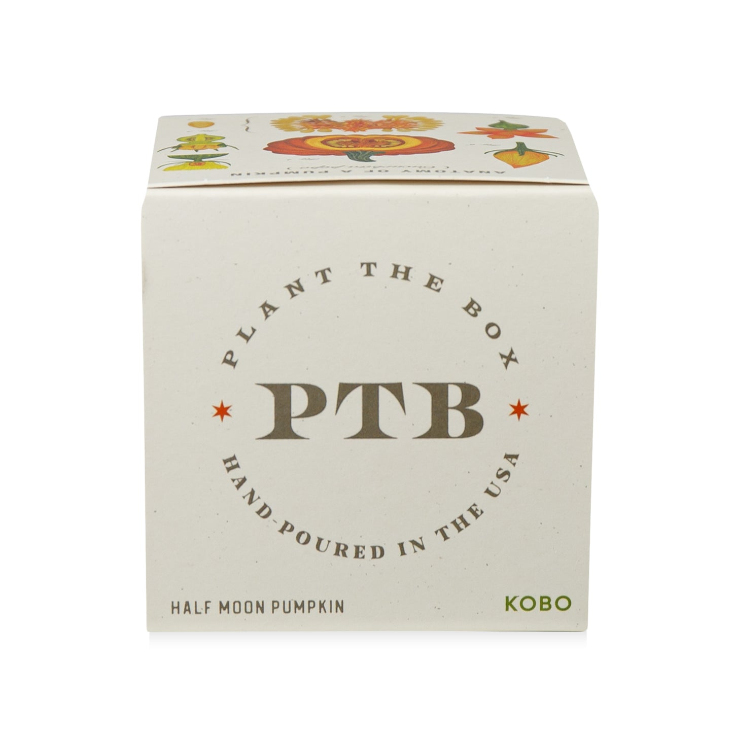 Alternate Image of Half Moon Pumpkin Plant The Box Candle