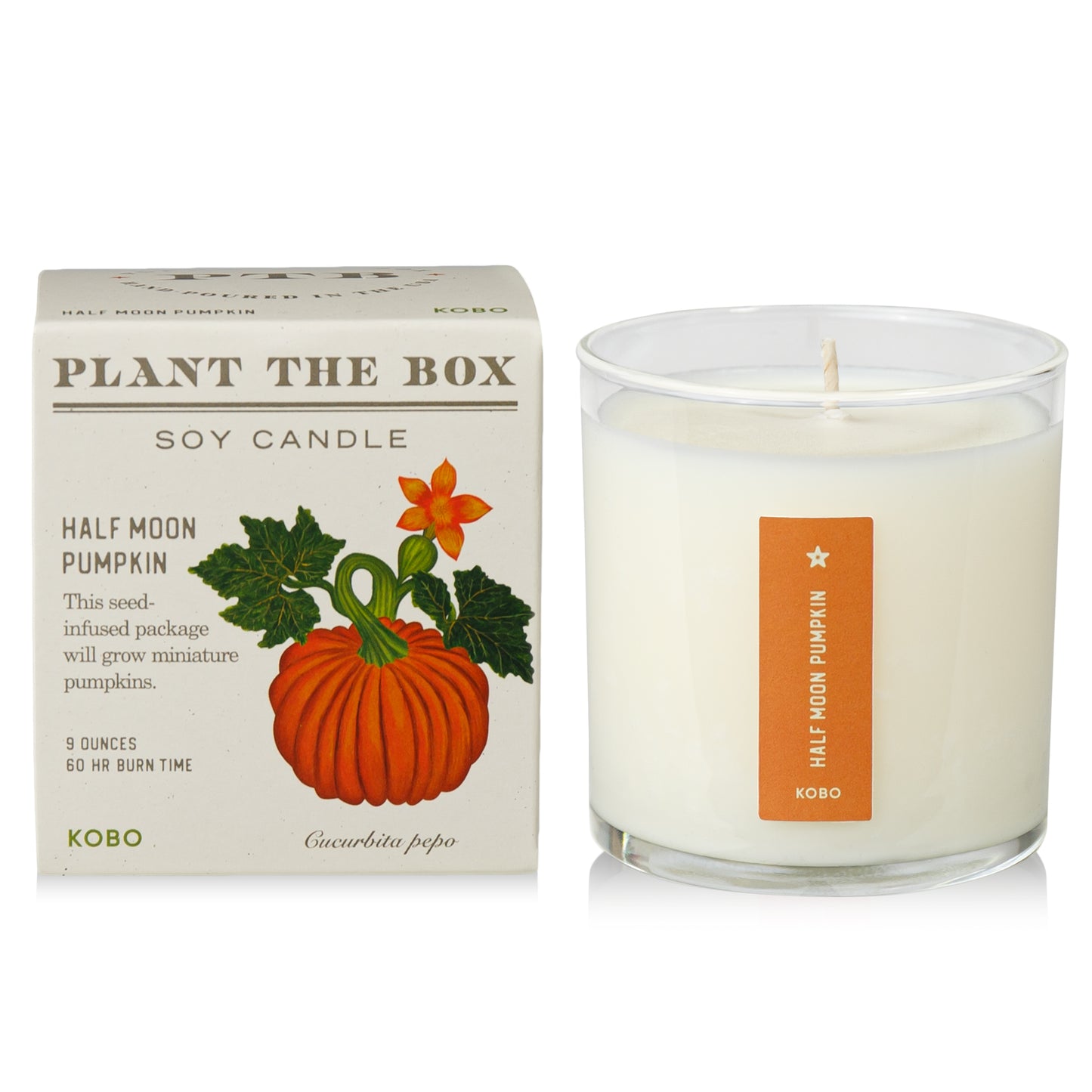 Alternate Image of Half Moon Pumpkin Plant The Box Candle
