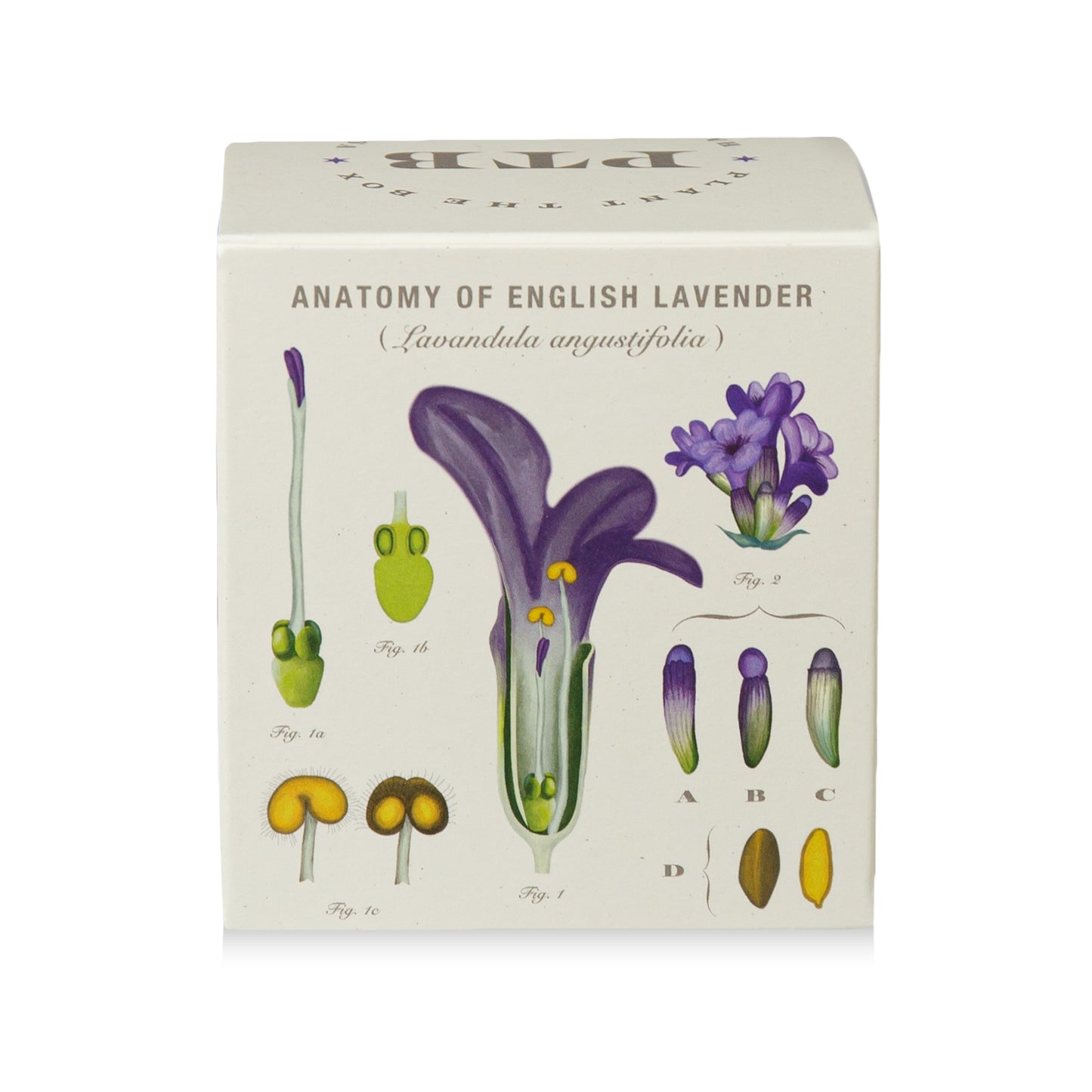 Alternate Image of Heath Lavender Candle