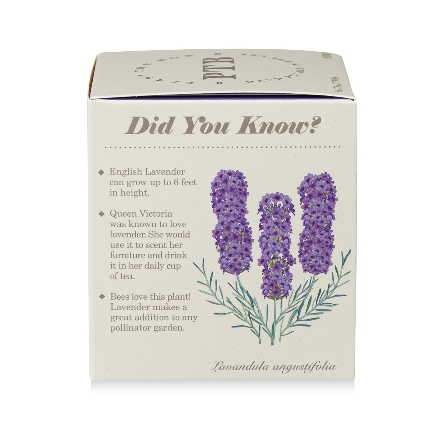 Alternate Image of Heath Lavender Candle