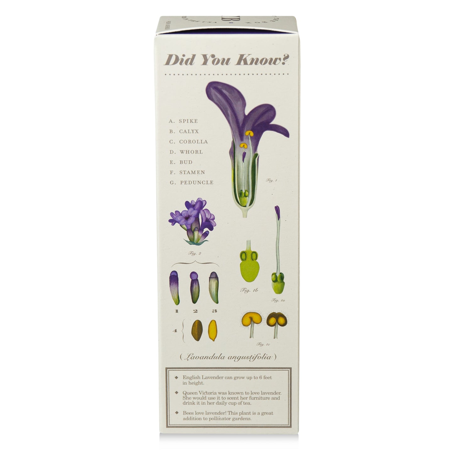 Alternate Image of Heath Lavender Diffuser