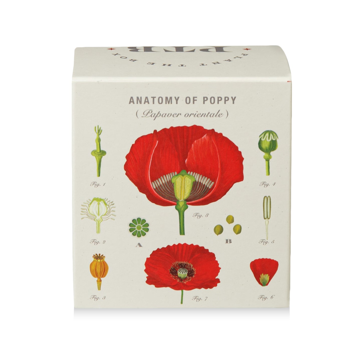Alternate Image of Red Poppy Candle