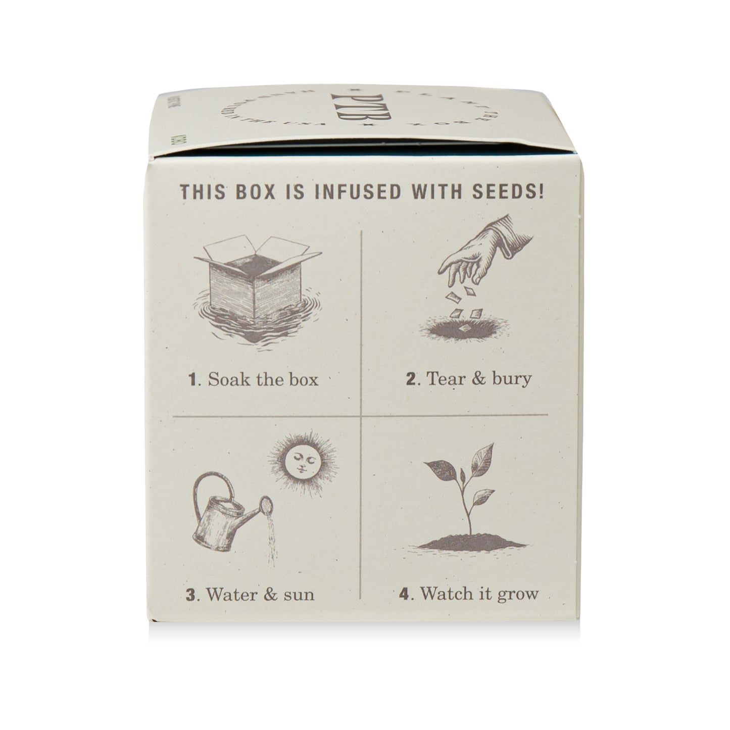 Alternate Image of Rustic Pine Plant The Box Candle