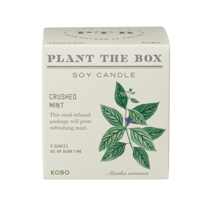Front view of Crushed Mint Plant The Box soy candle showing 9 ounce size and 60 hour burn time on transparent background