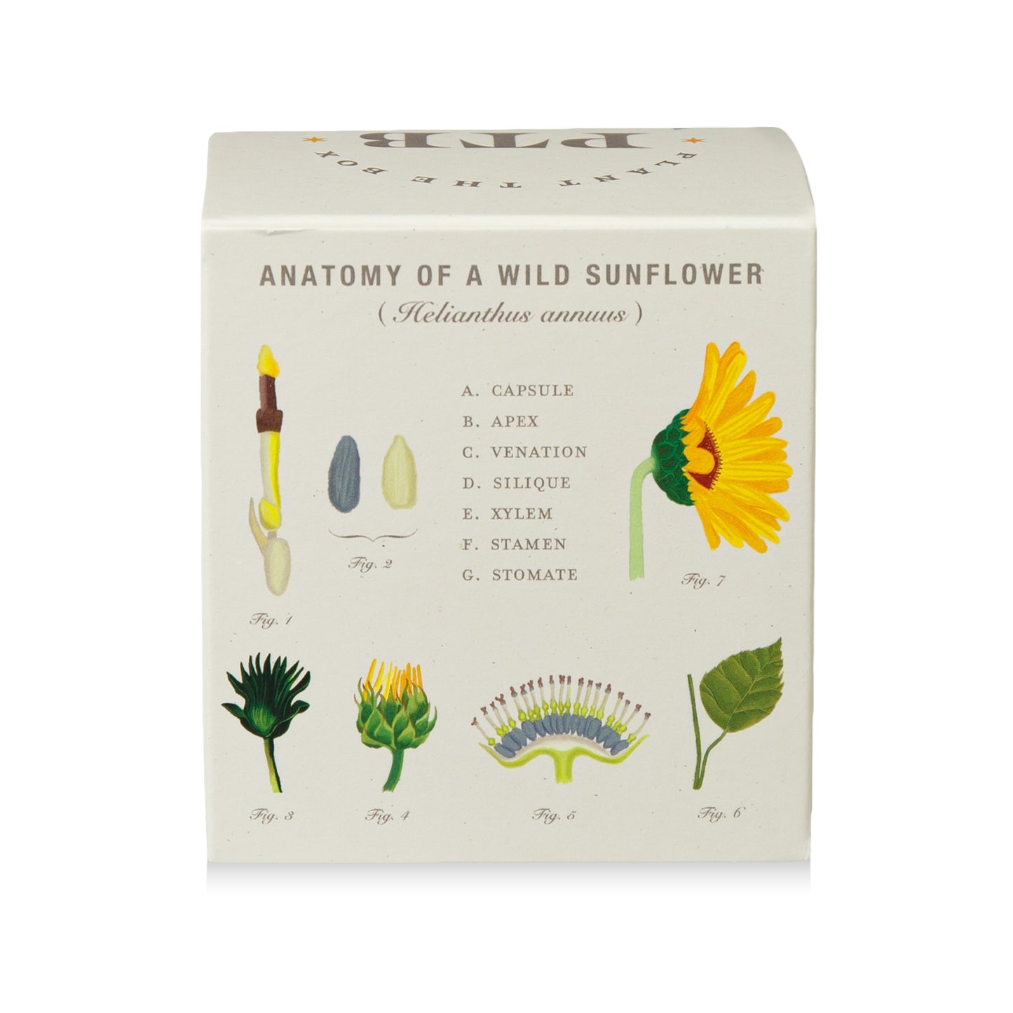 Alternate Image of Sweet Sunflower Candle