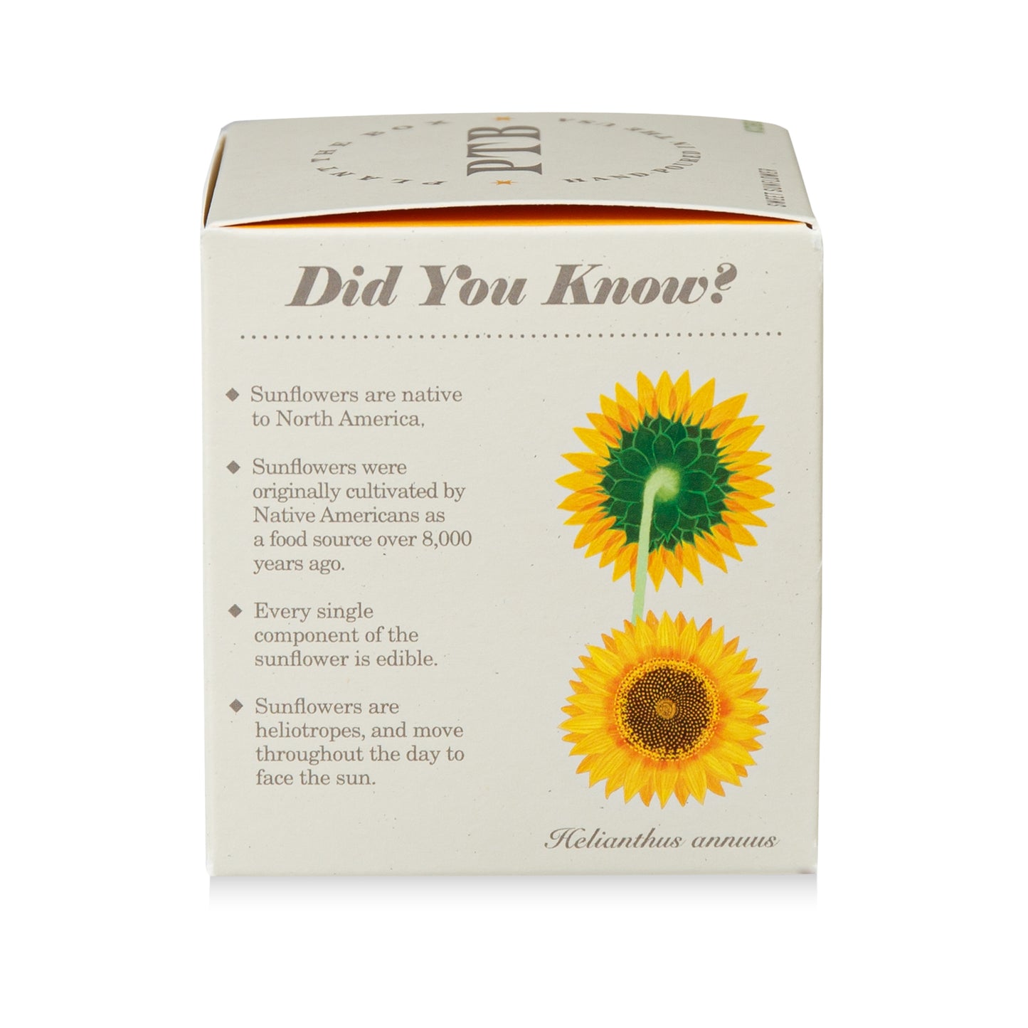 Alternate Image of Sweet Sunflower Candle