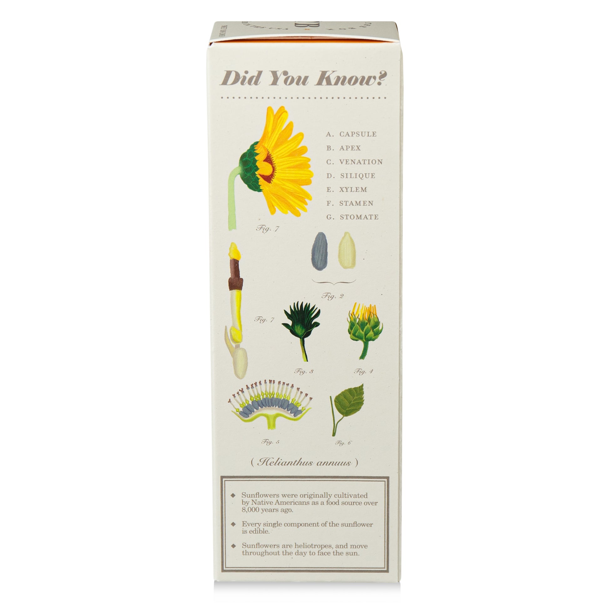 Alternate image of kobo ptb sweet sunflower reed diffuser