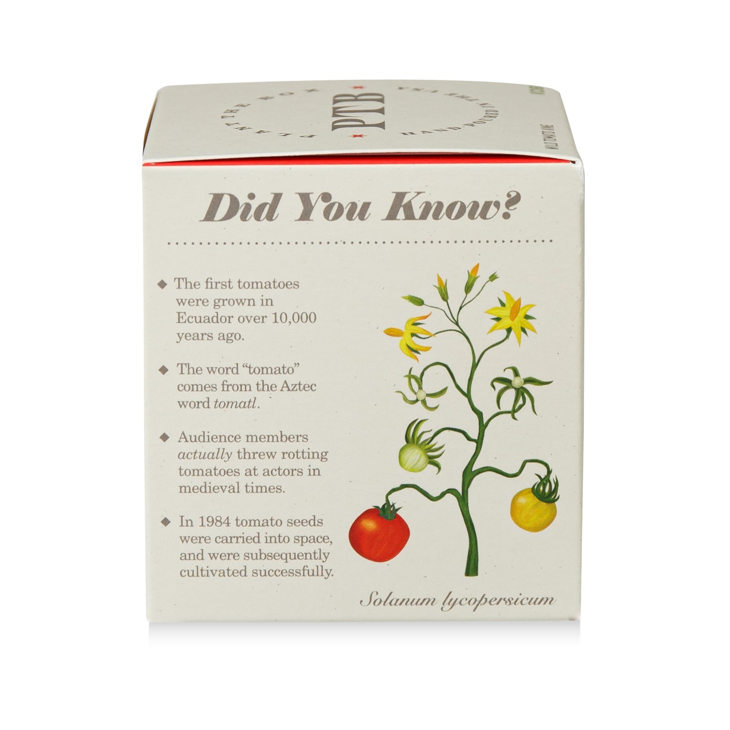 Alternate Image of Wild Tomato Vine Candle