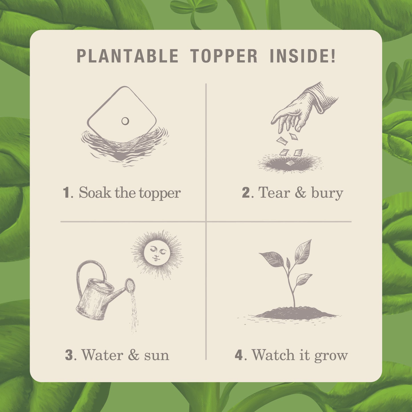 Alternate image of Fresh Picked Basil Plant the Box 10 oz Tin Candle