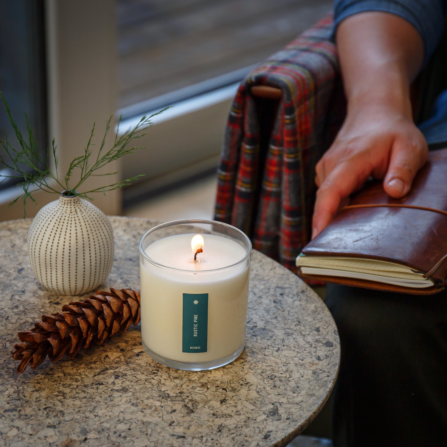 Alternate Image of Rustic Pine Plant The Box Candle
