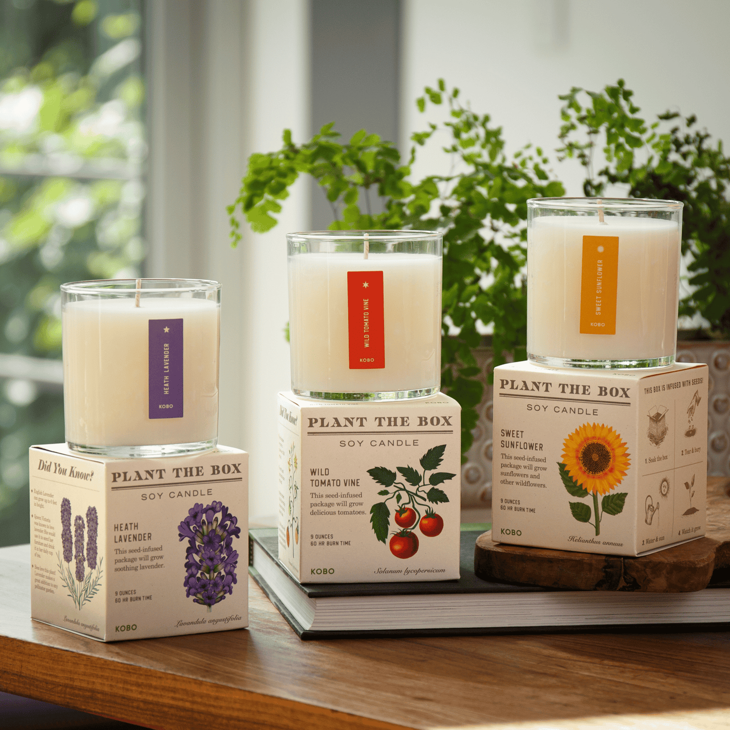 Bestselling Botanicals Plant the Box Candle Trio