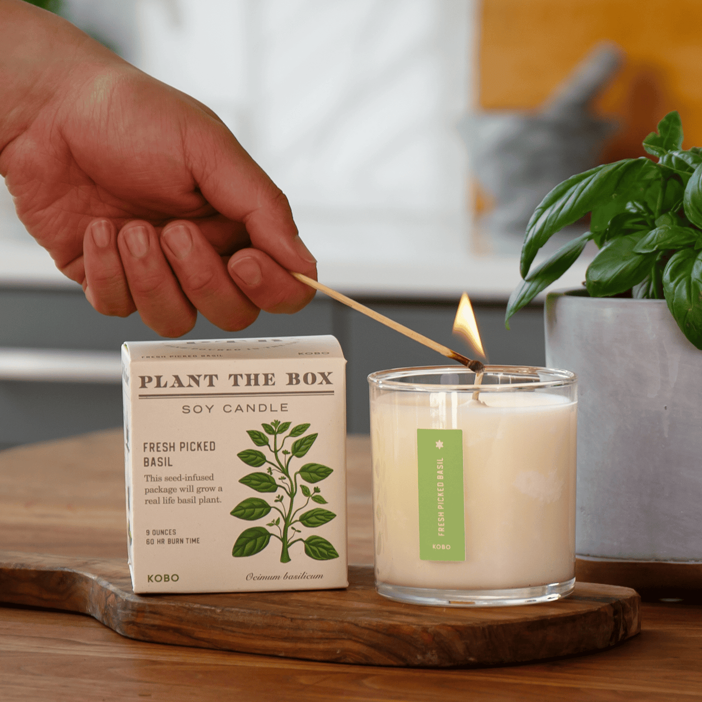 Alternate Image of Fresh Picked Basil Candle