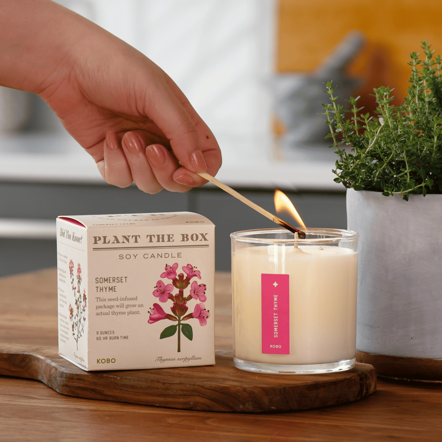 Alternate Image of Somerset Thyme Candle