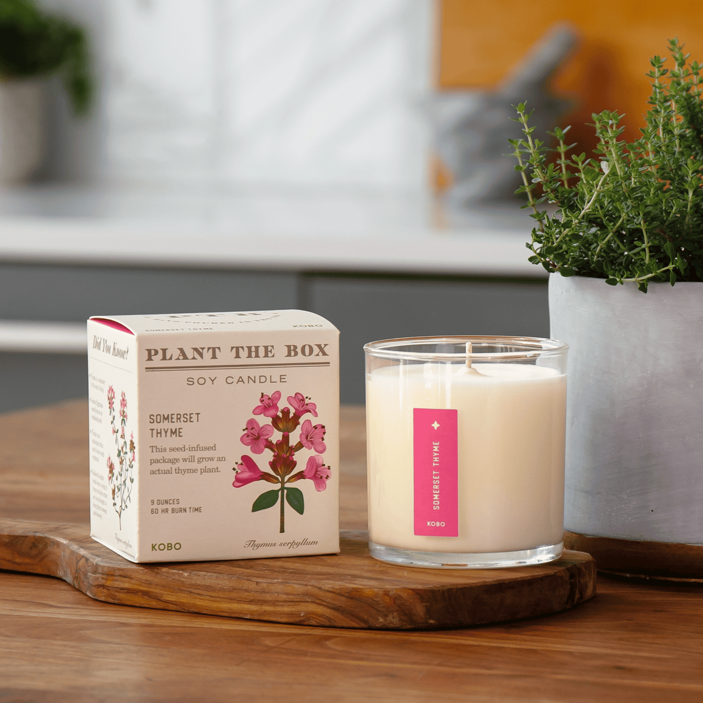 Alternate Image of Somerset Thyme Candle