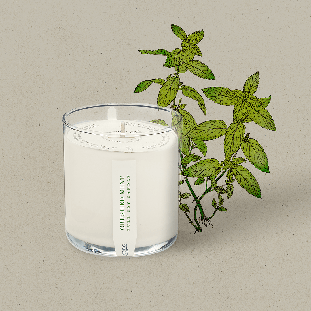 Crushed Mint Plant The Box 9 oz Candle