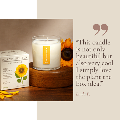 Bestselling Botanicals Plant the Box Candle Trio