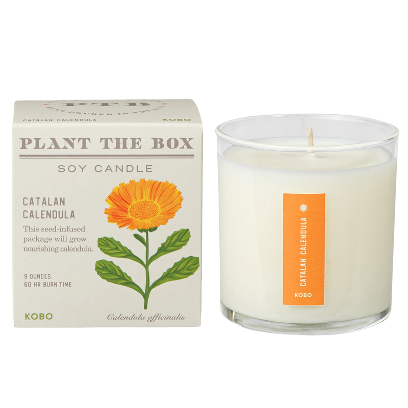 Front view of Catalan Calendula soy candle and seed infused box showcasing calendula artwork with white background