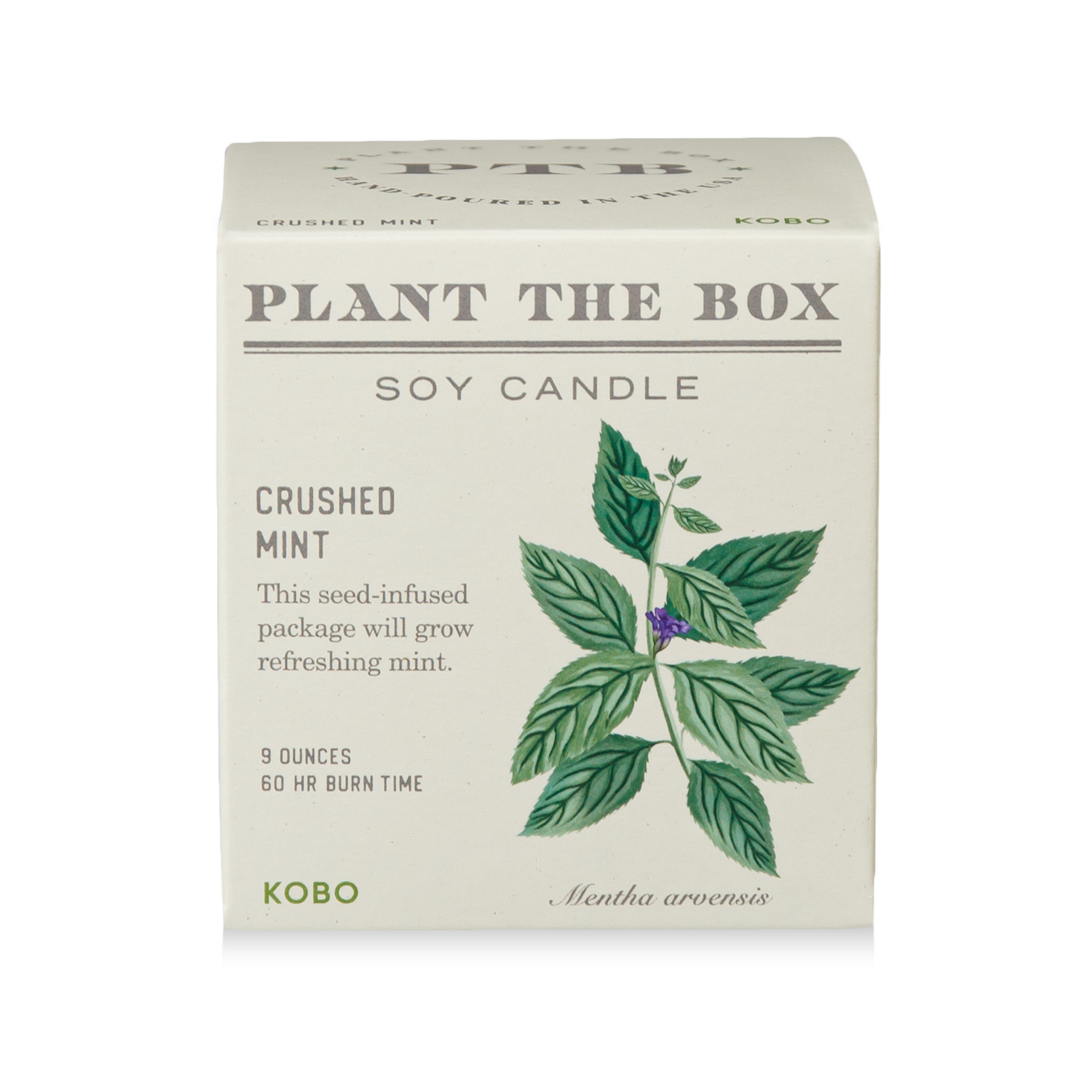 Crushed Mint Plant The Box Candle – KOBO