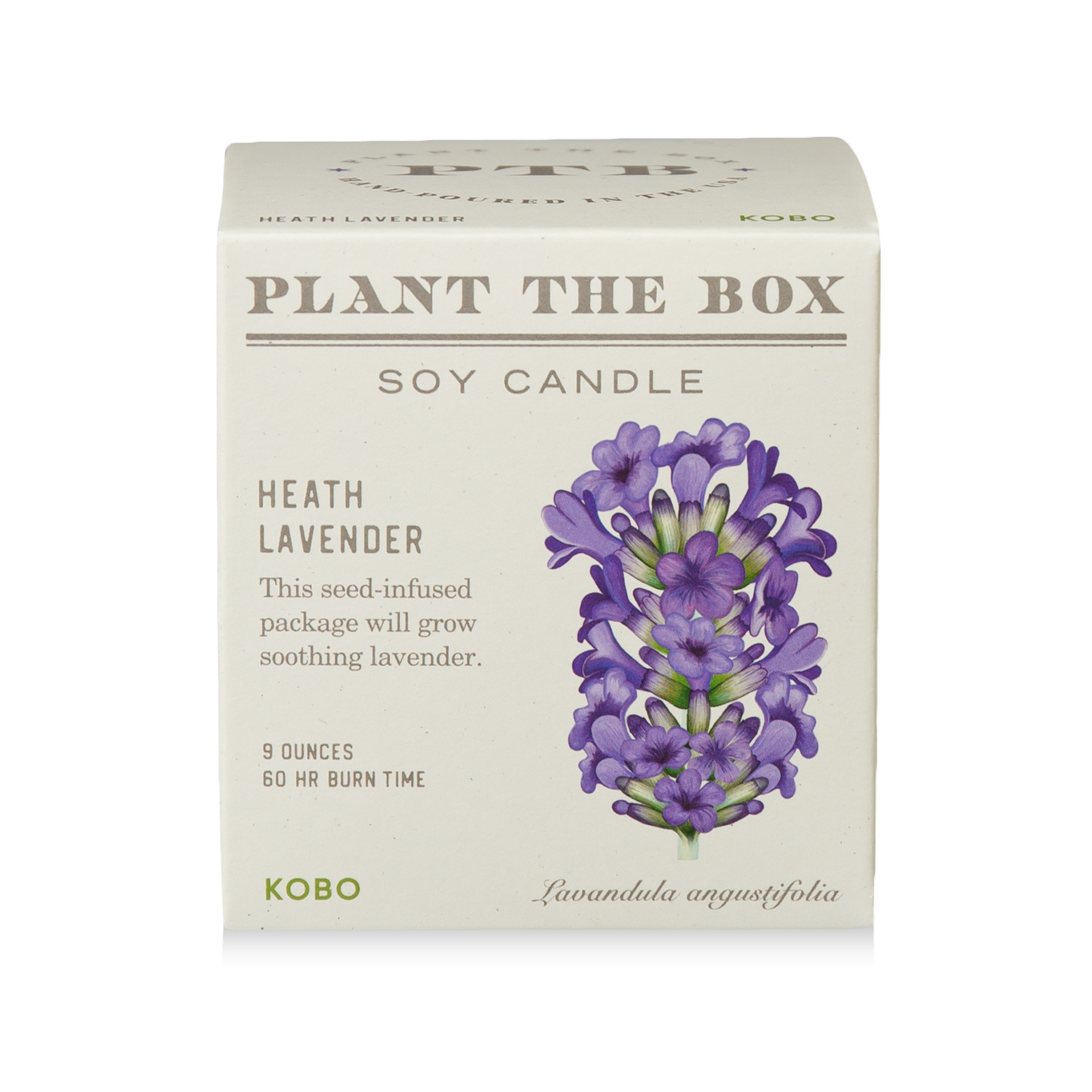 lavender in flower boxes Kobo
