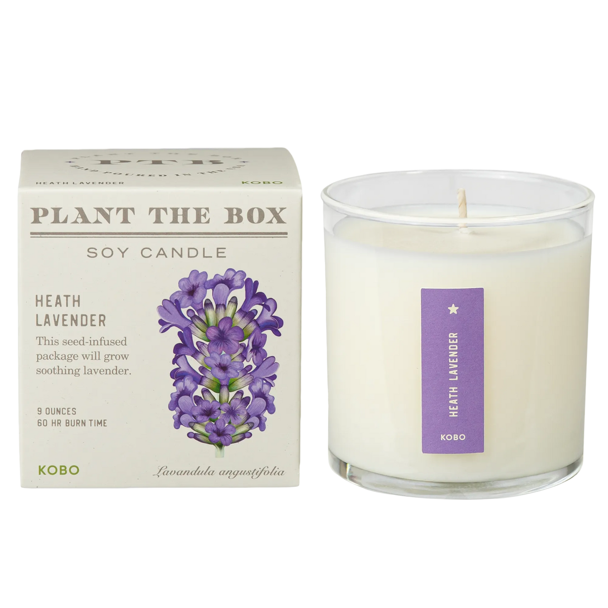 Heath Lavender Plant The Box Candle – KOBO