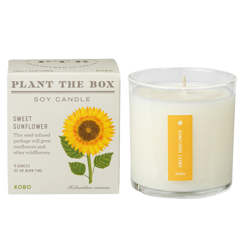 Front view of Sweet Sunflower Plant The Box candle and box showcasing sunflower artwork, white wax, and clear glass jar on white
