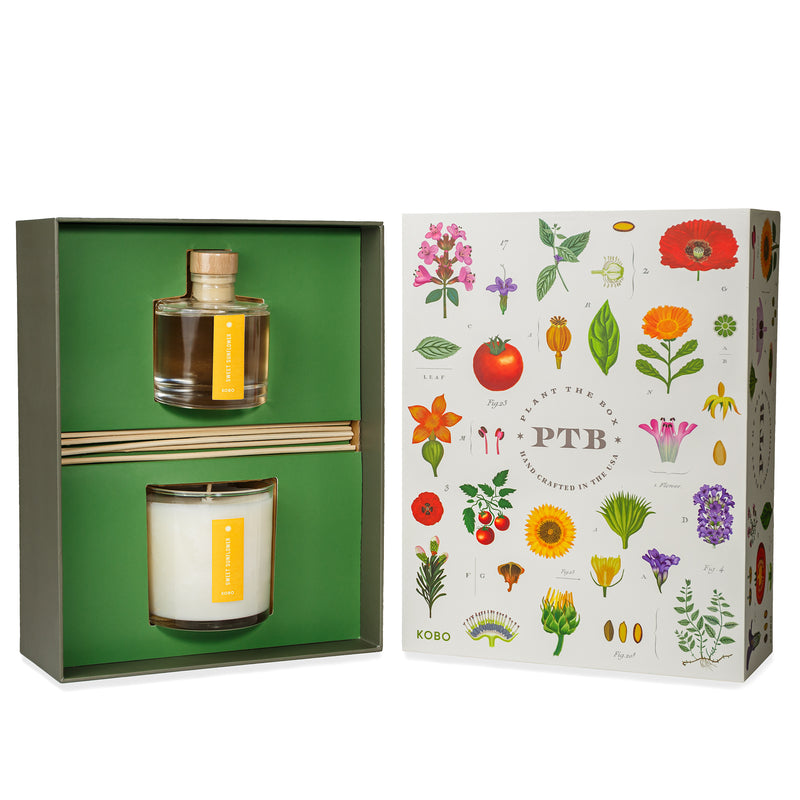 Primary Image of Sweet Sunflower Plant the Box Candle & Diffuser Gift Set