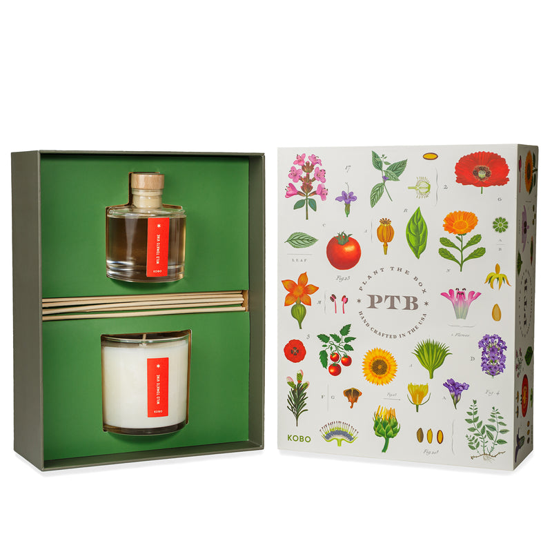 Primary Image of Wild Tomato Vine Plant The Box Candle & Diffuser Gift Set