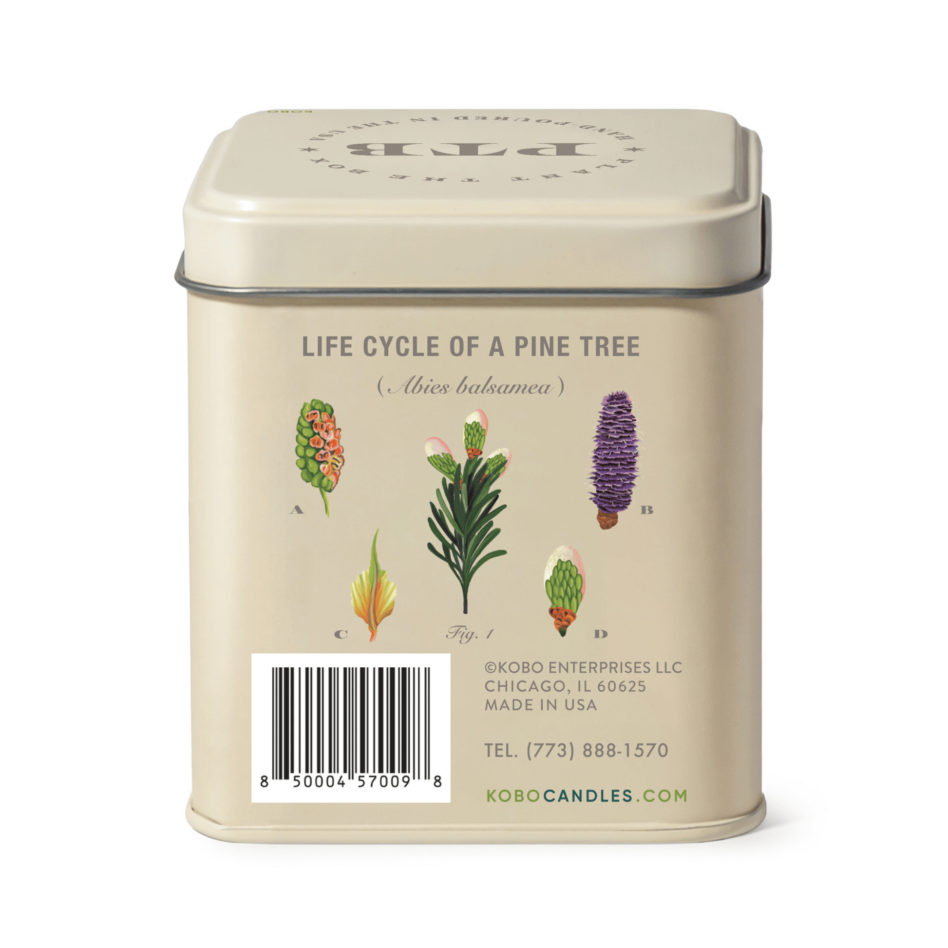 Alternate image of Rustic Pine Plant the Box 10 oz Tin Candle