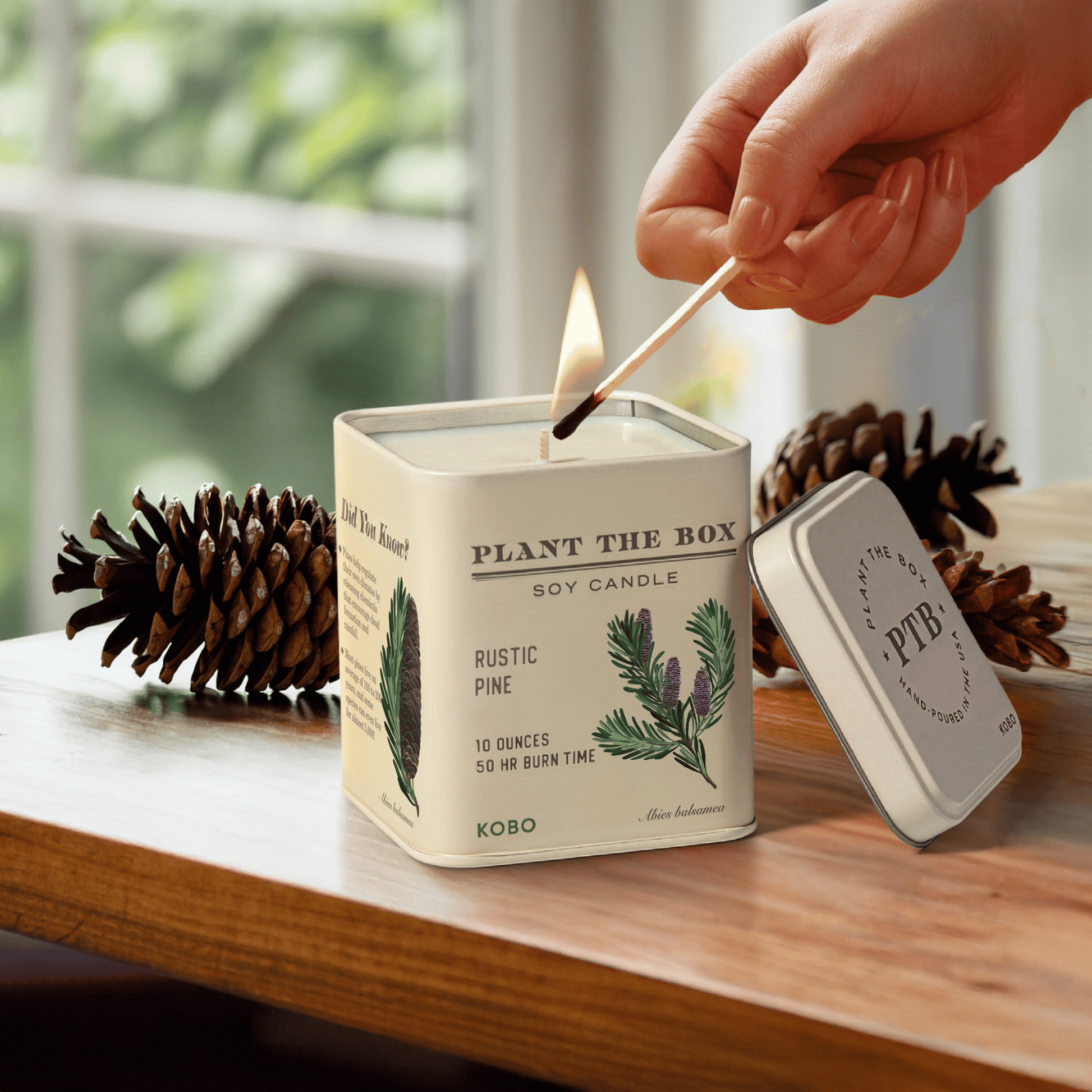 Alternate image of Rustic Pine Plant the Box 10 oz Tin Candle
