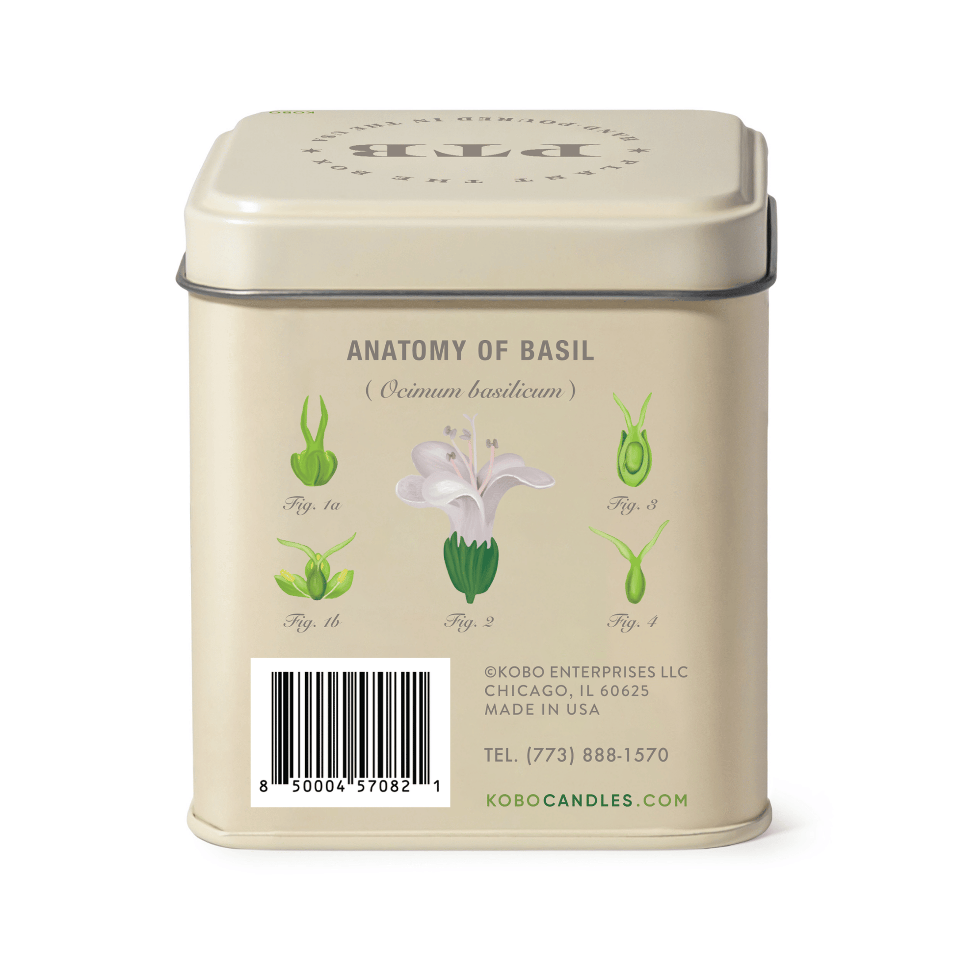 Alternate image of Fresh Picked Basil Plant the Box 10 oz Tin Candle