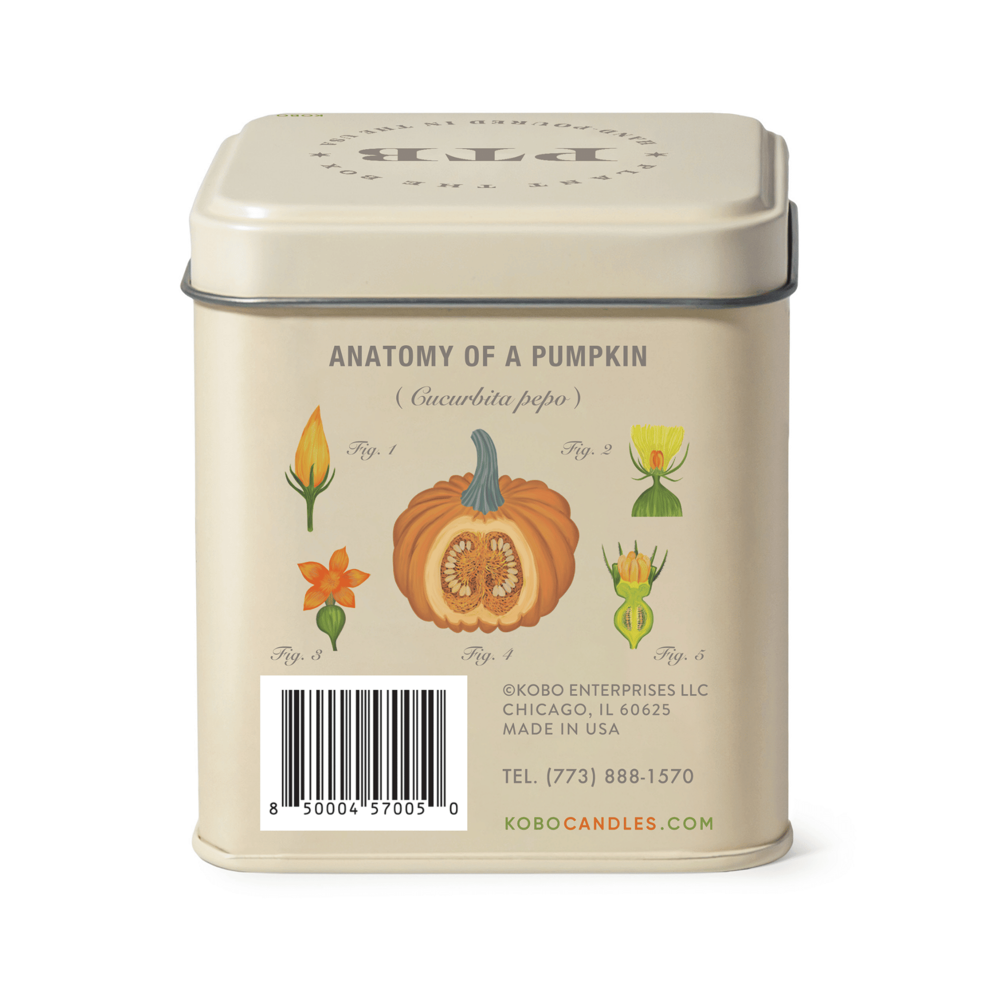 Alternate image of Half Moon Pumpkin Plant the Box 10 oz Tin Candle