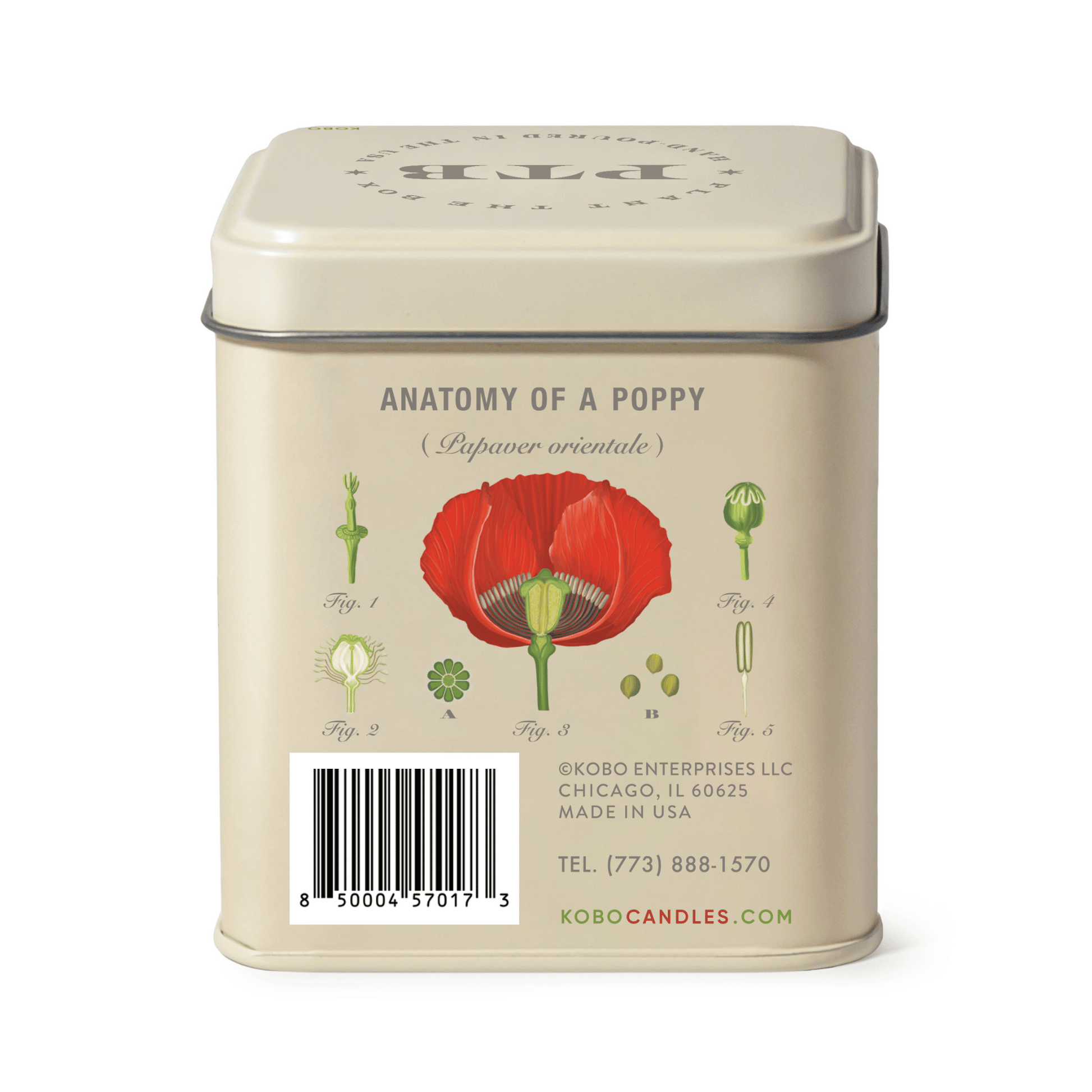 Alternate image of Red Poppy Plant the Box 10 oz Tin Candle