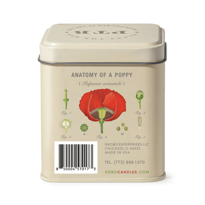 Alternate image of Red Poppy Plant the Box 10 oz Tin Candle