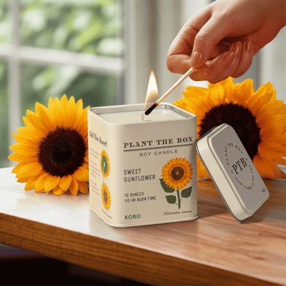 Alternate image of Sweet Sunflower Plant the Box 10 oz Tin Candle