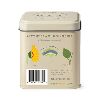 Alternate image of Sweet Sunflower Plant the Box 10 oz Tin Candle