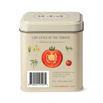 Alternate image of Wild Tomato Vine Plant the Box 10 oz Tin Candle