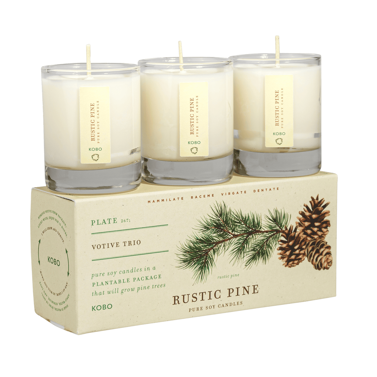 Front view of Rustic Pine Plant the Box votive candle trio in three glass jars on a pine illustrated plantable package