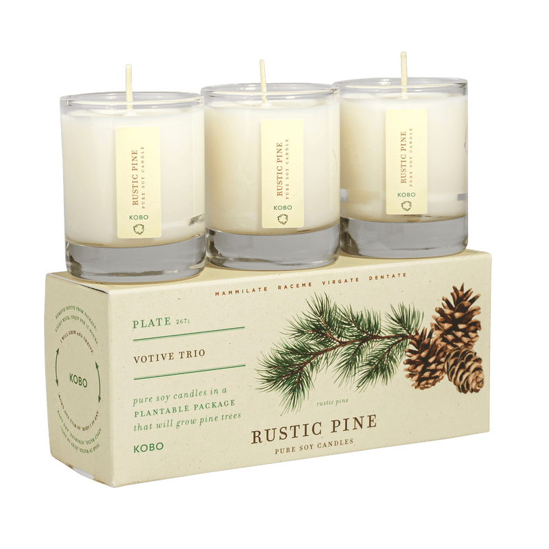Primary image of Rustic Pine Plant the Box Votive Candle Trio