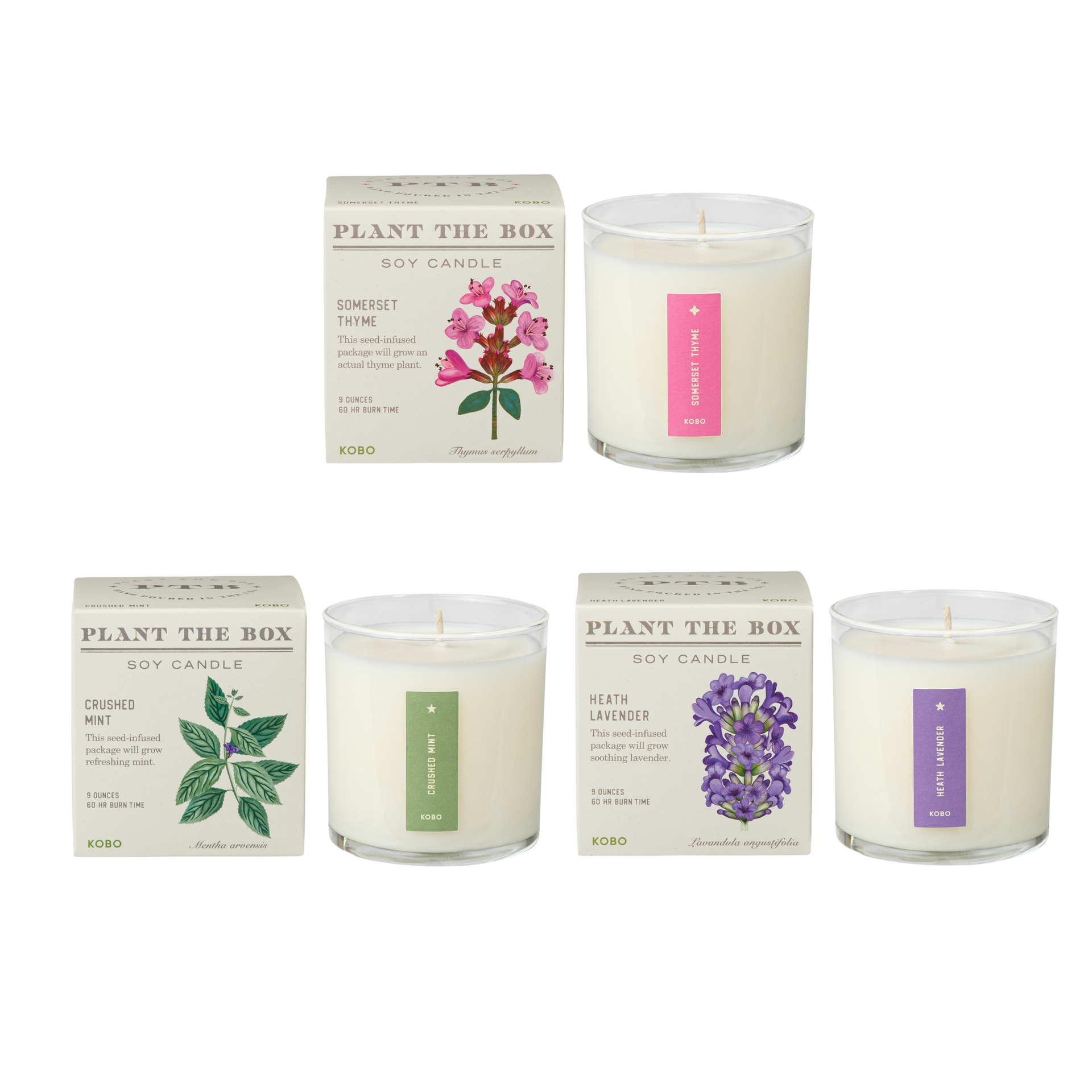 Kitchen Herb Plant the Box Candle Trio – KOBO