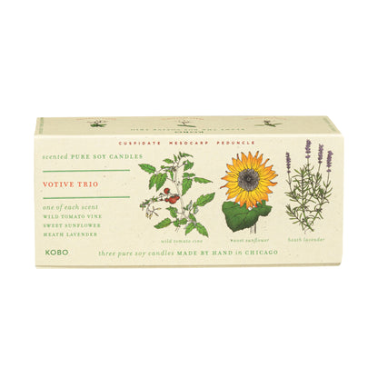 Endless Summer Plant the Box Votive Candle Trio