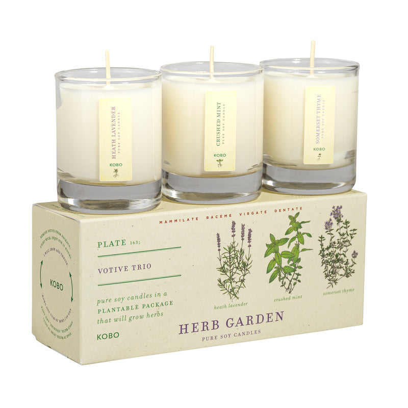 Herb Garden Plant the Box Votive Trio 3 x 2.3oz Candles