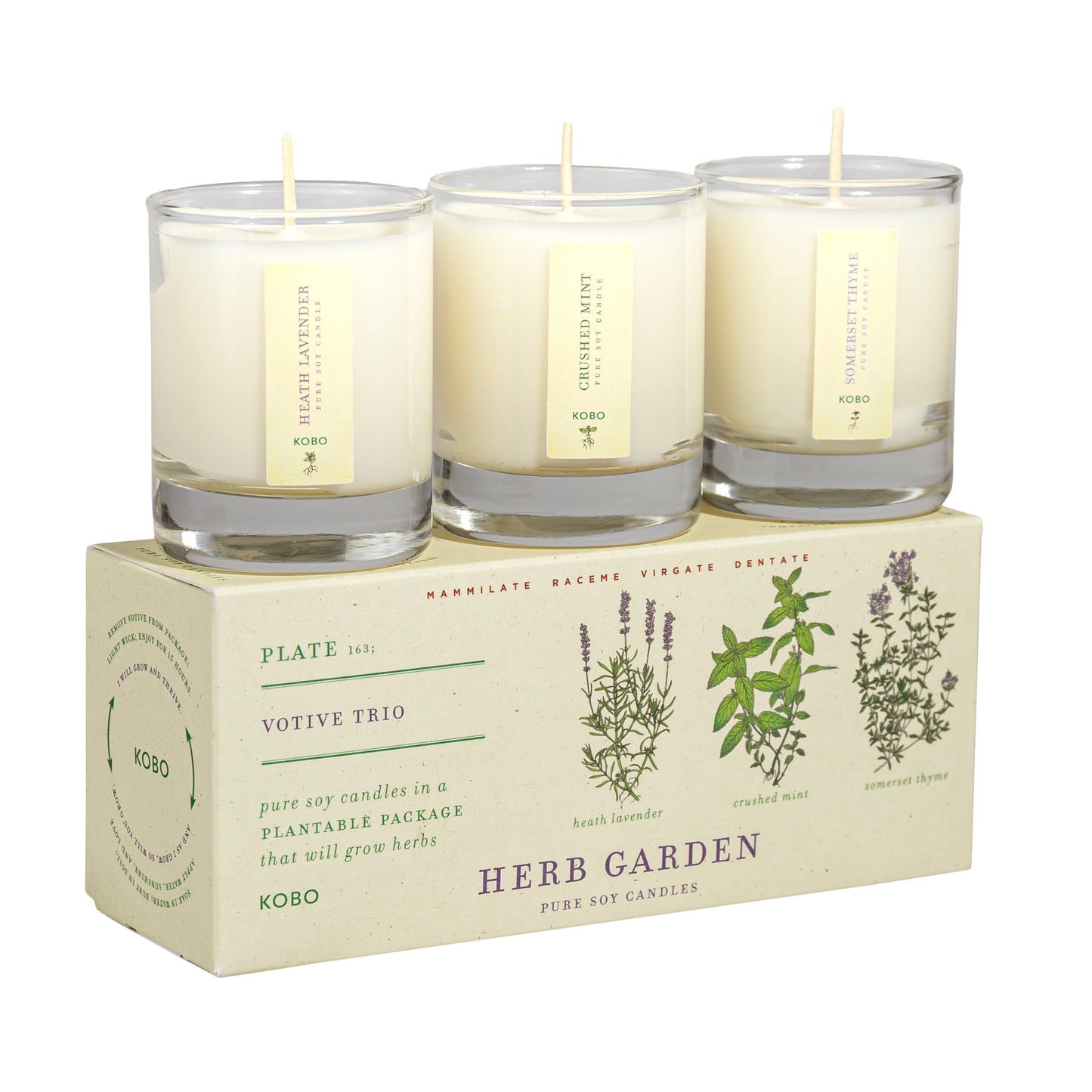 Herb Garden Plant the Box Votive Candle Trio